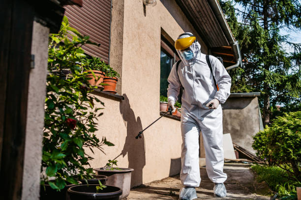 Best Pest Removal Services  in Washington, DC