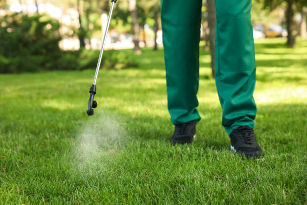 Reliable Washington, DC Pest Control Solutions