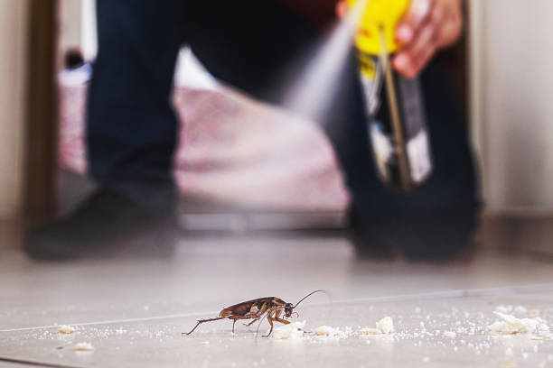 Best Best Pest Control Companies  in Washington, DC